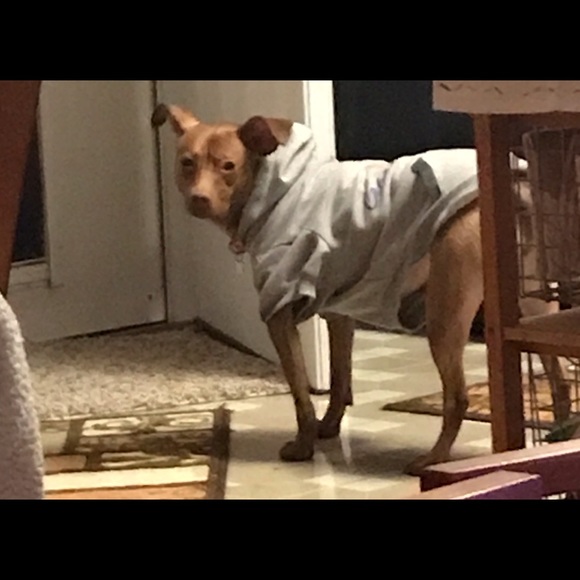 Meet your Posher, Deb - Picture 5 of 5